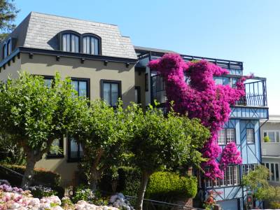 Houses in Lombard Street