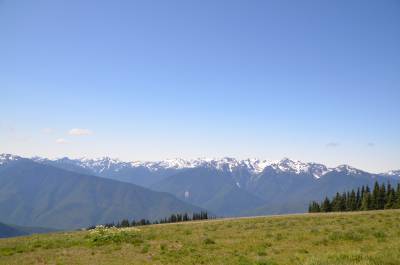 Olympic Mointains viewed from Hurricane Ridge