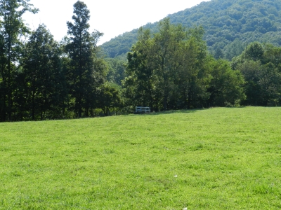 Laura's gravesite is behind the white fence