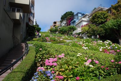 Lombard Street - the crooked part