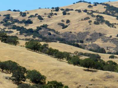 Landscape between  I-5 and UD 101