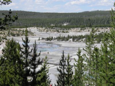 Overview of Porcelain Basin in Norris Geyser Basin, Yellowstone National Park