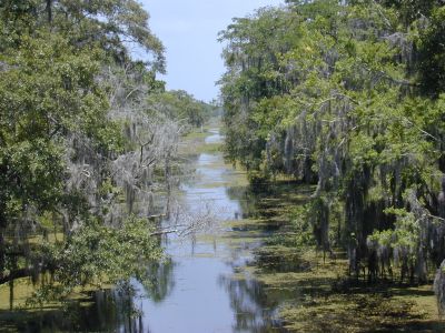 Canal in Barataria Preserve - from our walking tour