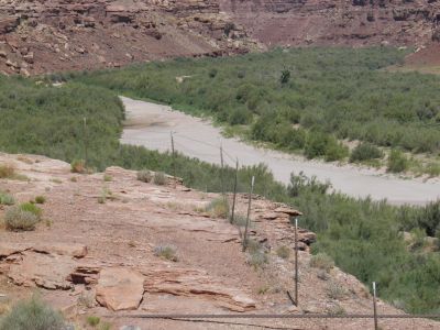 Little Colorado River var helt udtørret ved Cameron