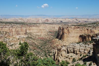 Canyon in the San Raphael Swell