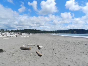 First Beach in La Push