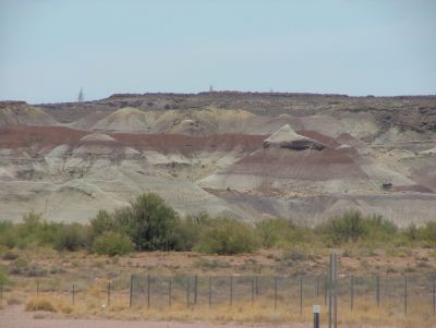 From Painted Desert