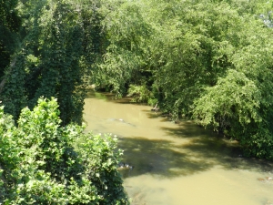 Yadkin River