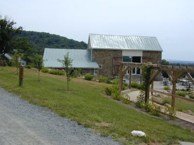Hillsboro Winery, Virginia